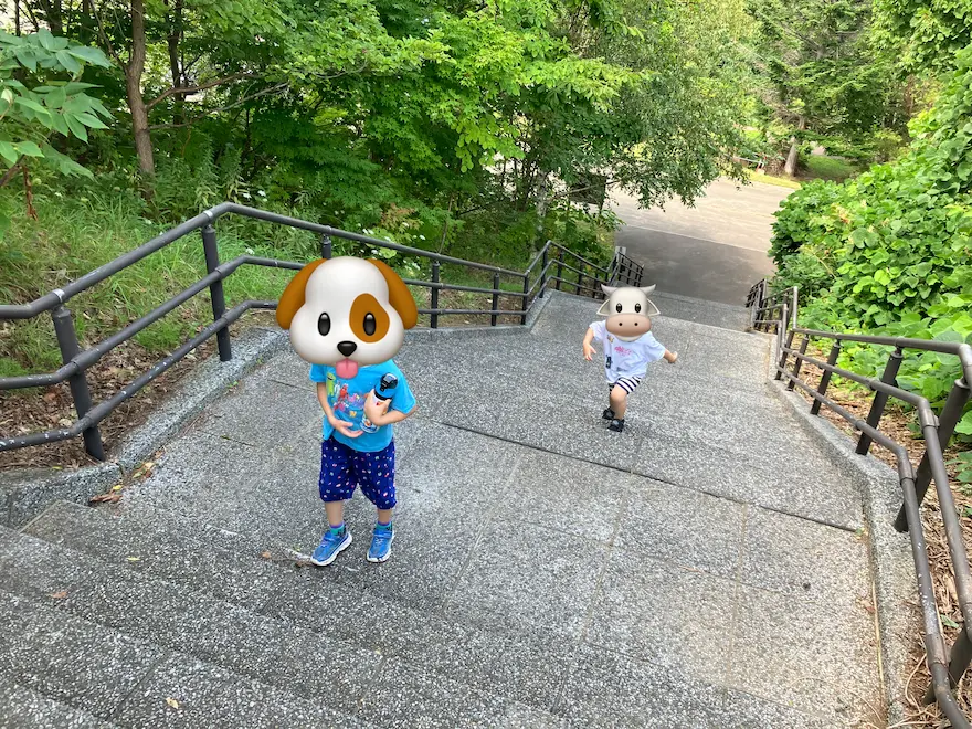 札幌市西区宮丘公園芝生広場へ向かう階段