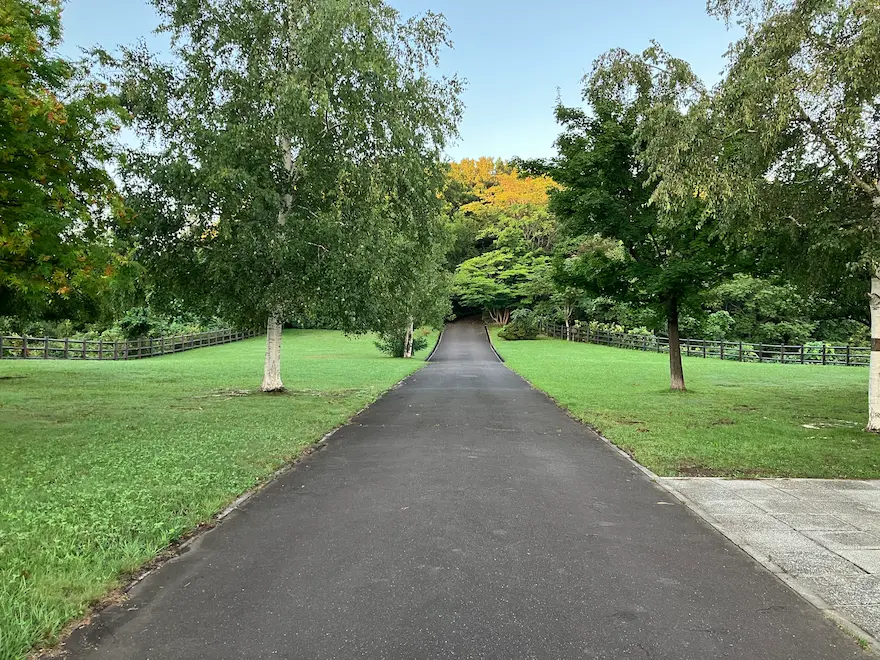 札幌市西区宮丘公園林間広場へ続く道