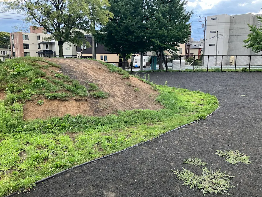 銀杏公園の丘